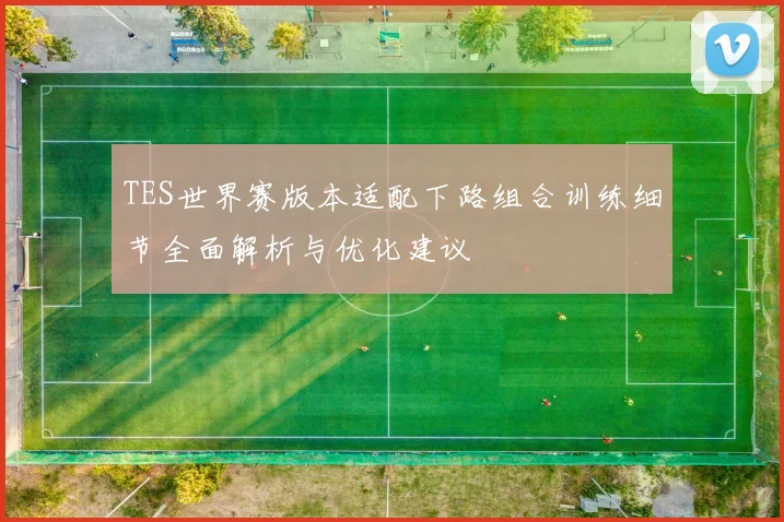 TES世界赛版本适配下路组合训练细节全面解析与优化建议