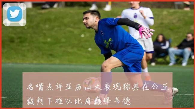 名嘴点评亚历山大表现称其在公正裁判下难以比肩巅峰韦德