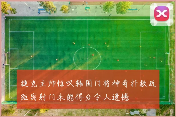 捷克主帅惊叹韩国门将神奇扑救近距离射门未能得分令人遗憾