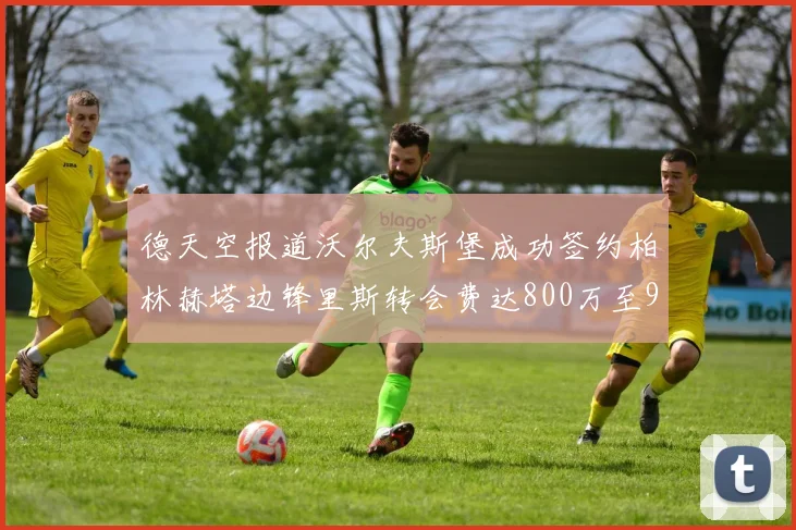 德天空报道沃尔夫斯堡成功签约柏林赫塔边锋里斯转会费达800万至900万欧元